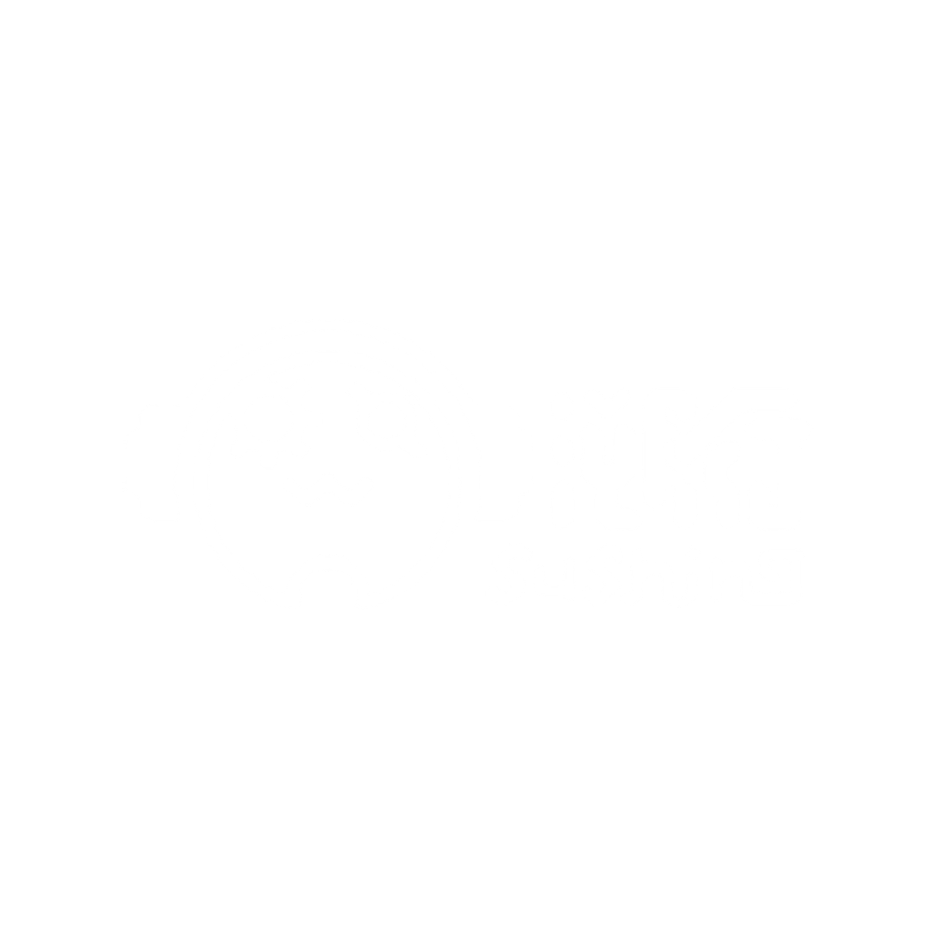 溯行 Sushing